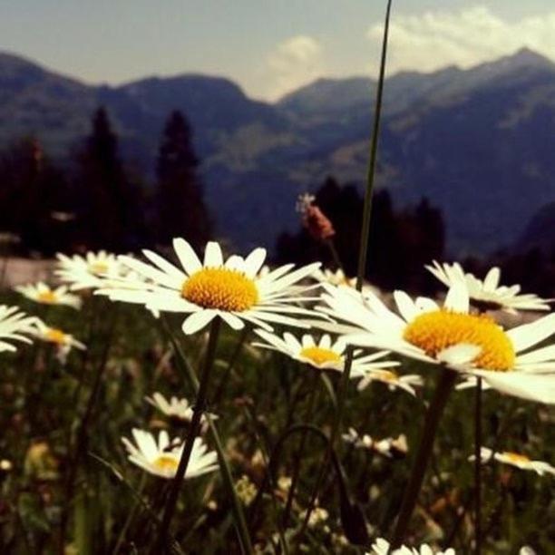 Fewo In Tiefenberg/ Allgaeu Ofterschwang Dış mekan fotoğraf